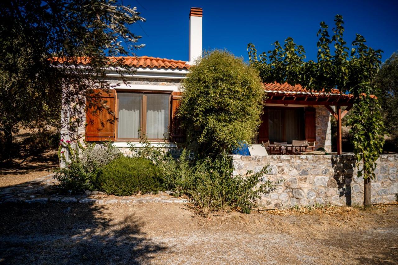 Traditional Stone House In Seafront Olive Grove A Alyfanta Exterior foto